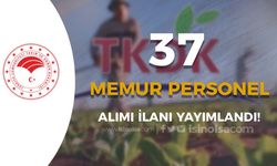 TKDK 37 Memur Personel Alımı İlanı
