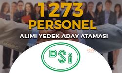 DSİ 1273 Sözleşmeli Personel Alımı Yedek Aday Ataması Yapıldı!