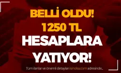 Aile Destek Programı Ödemeleri: 1.250 TL Hesaplara Yatacak!