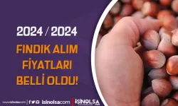 2024 / 2025 Yılı TMO Fındık Alım Fiyatlarını Belirledi