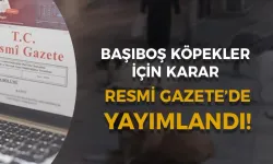 Başıboş Köpeklere Yönelik Kanun Resmi Gazete'de!