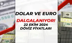 Dolar ve Euro'da Dalgalanma: 22 Ekim 2024 Güncel Döviz Fiyatları