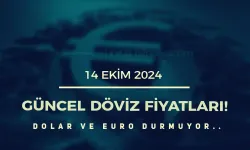 14 Ekim 2024 Döviz Kurları: Dolar ve Euro Yükseliyor