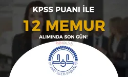 Diyanet ( DİB ) KPSS İle Memur Alımı İlanı 2024! ( Uzman Yardımcısı )