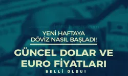 Yeni Haftaya Dolar ve Euro Nasıl Başladı! Güncel 11 Kasım Döviz Kurları...