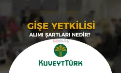 Kuveyt Türk Katılım Bankası Gişe Yetkilisi Alımı İlanı Başvuru Şartları Nedir?