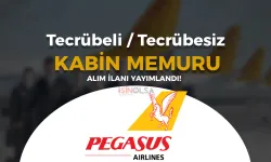 Pegasus Kabin Memuru Alımı 2024: Başvuru Şartları, Süreç