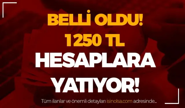 Aile Destek Programı Ödemeleri: 1.250 TL Hesaplara Yatacak!