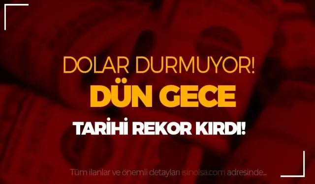 Dolar Kuru Rekor Kırdı: TL'de Değer Kaybı, Ekonomi Haberleri