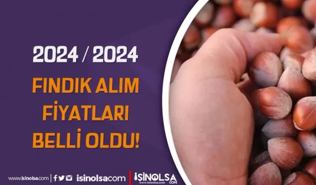 2024 / 2025 Yılı TMO Fındık Alım Fiyatlarını Belirledi