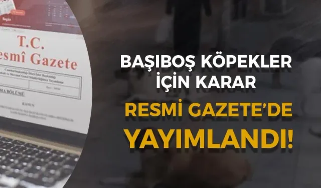 Başıboş Köpeklere Yönelik Kanun Resmi Gazete'de!