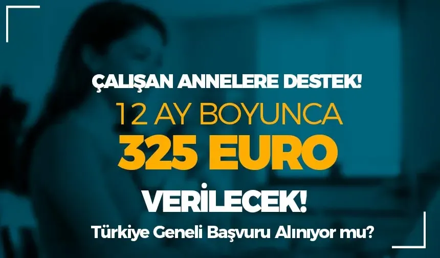 Çalışan Anneler için 325 Euro Destek! Türkiye Geneli Kapsıyor mu?