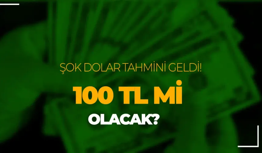 Doların Geleceği Ne Olacak? 100 TL mi Oluyor? Açıklama Geldi!