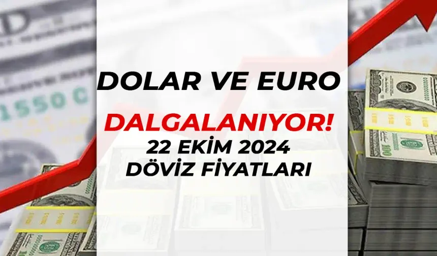 Dolar ve Euro'da Dalgalanma: 22 Ekim 2024 Güncel Döviz Fiyatları