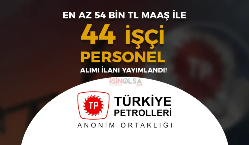 TPAO İŞKUR İle 3 Şehir 44 Kamu İşçi Personel Alımı! En az 54 Bin TL Maaş